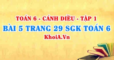 Bài 5 trang 29 SGK Toán 6 tập 1 Cánh Diều